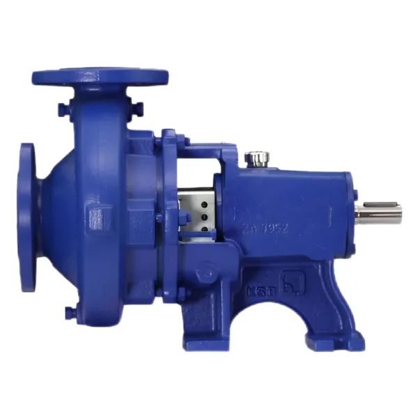 KSB Etanorm 50-250 Centrifugal Pump with Cast Iron Impeller