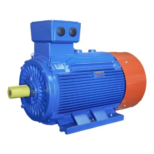 Cast Iron Electric Motor