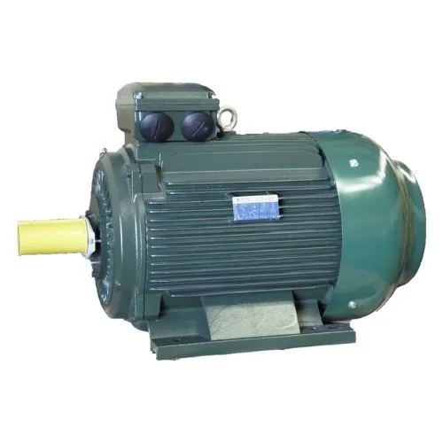 Cast Iron Electric Motor IE3