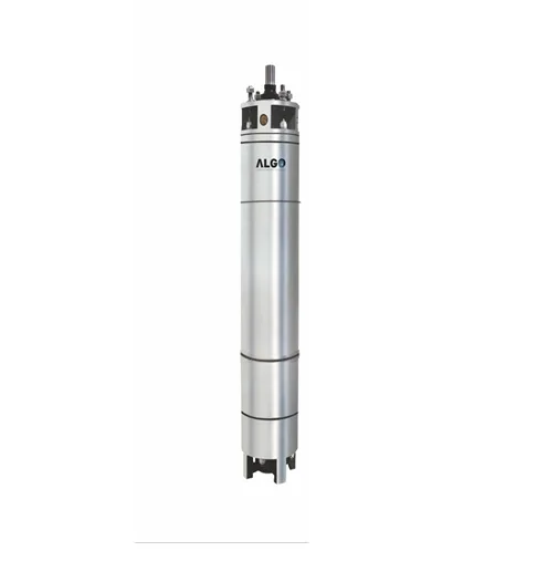 Algo 6" borehole Motor
